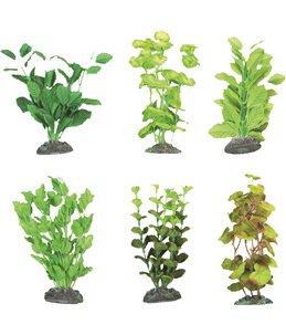 Aq. plant zijde brasil ass. - xl