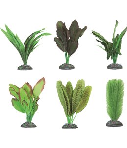 Aq. plant zijde congo ass. - m
