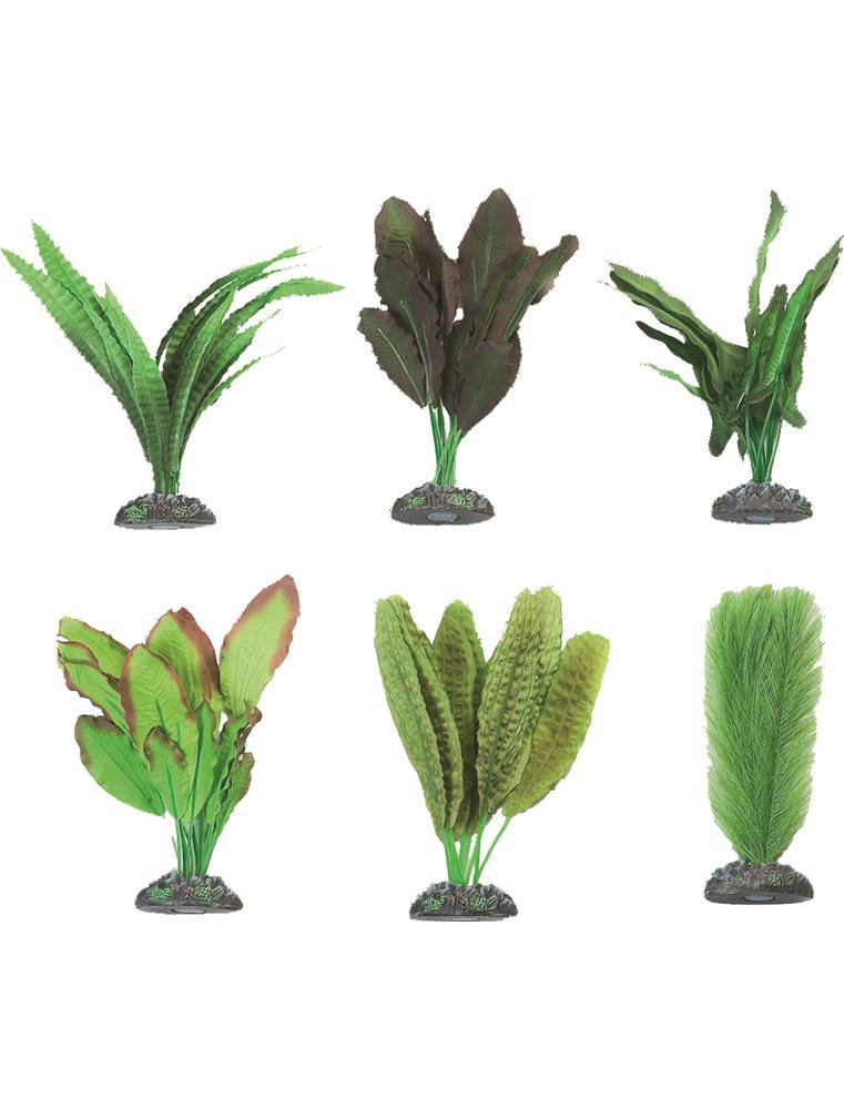 Aq. plant zijde congo ass. - m