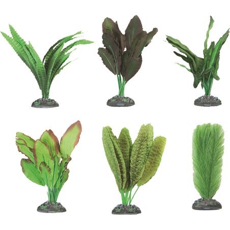 Aq. plant zijde congo ass. - m 