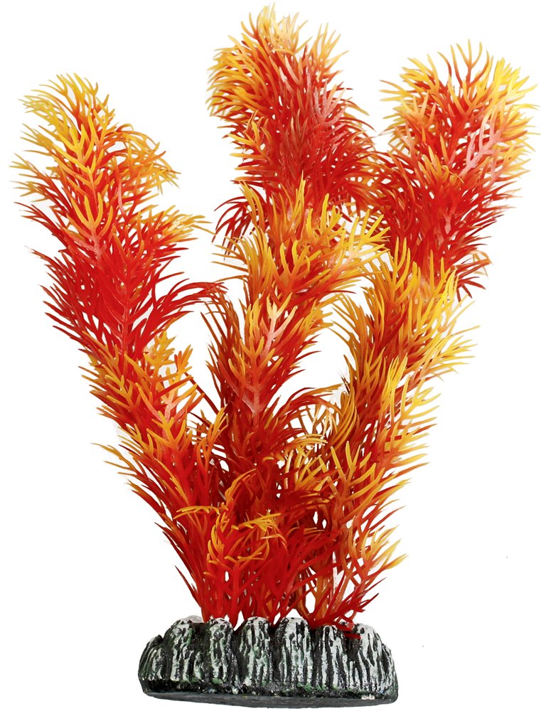 Aq. plant plastic cuba ass. - m