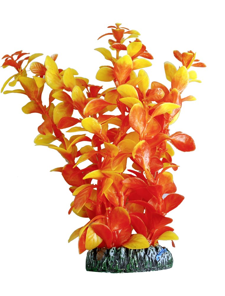 Aq. plant plastic cuba ass. - m