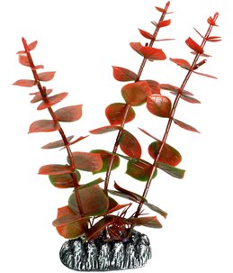 Aq. plant plastic cuba ass. - l