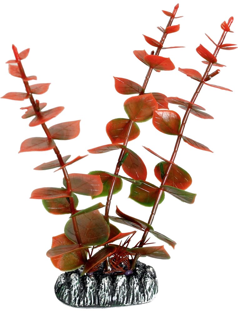 Aq. plant plastic cuba ass. - l