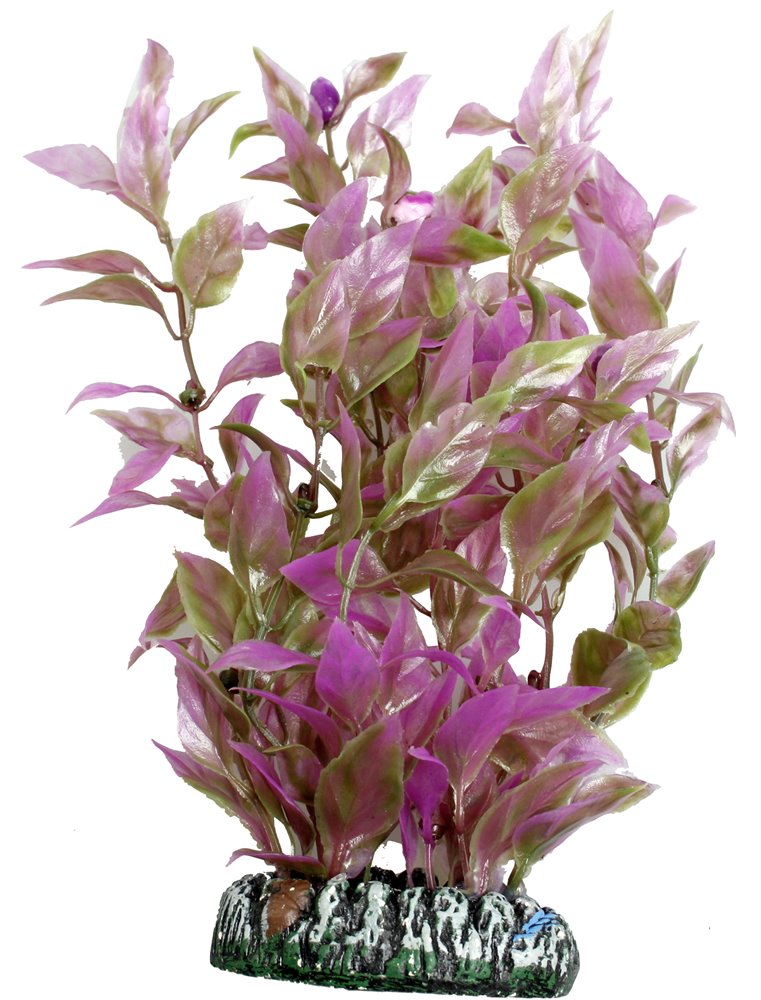 Aq. plant plastic cuba ass. - l