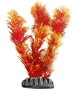 Aq. plant plastic cuba ass. - xl