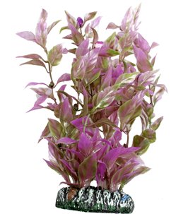 Aq. plant plastic cuba ass. - xl