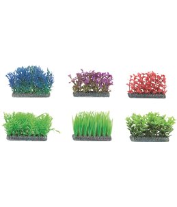 Aq. voorgrondplant ass. - m