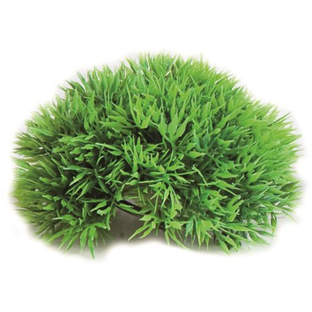 Aquarium plant halve mosbal 12cm 