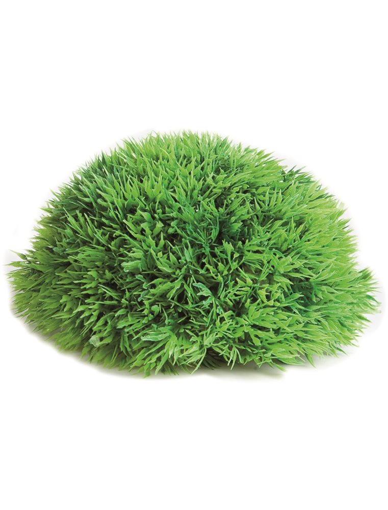 Aquarium plant halve mosbal 17cm