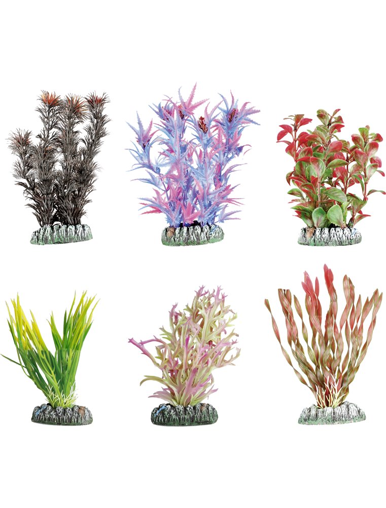 Aq. plant plastic guyana ass. - xs