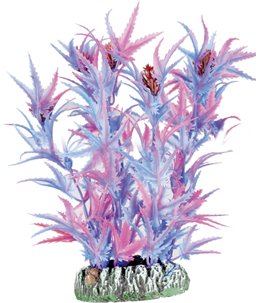 Aq. plant plastic guyana ass. - xs