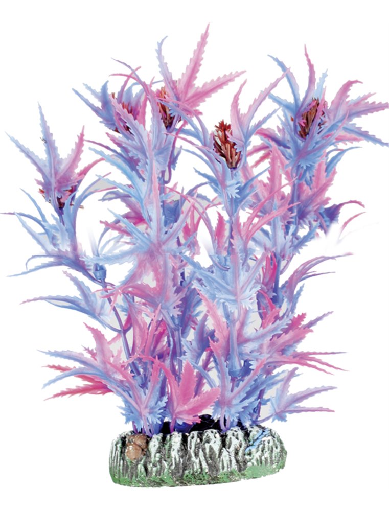 Aq. plant plastic guyana ass. - xs