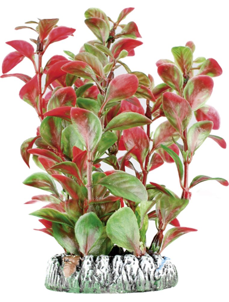 Aq. plant plastic guyana ass. - xs