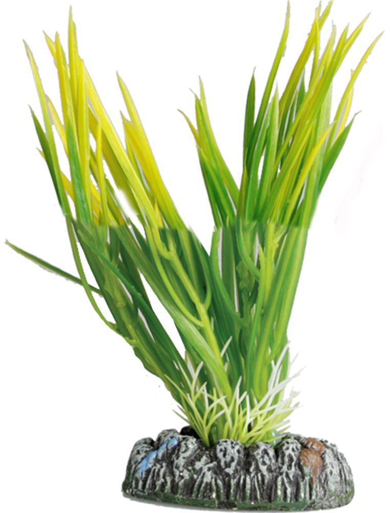 Aq. plant plastic guyana ass. - s
