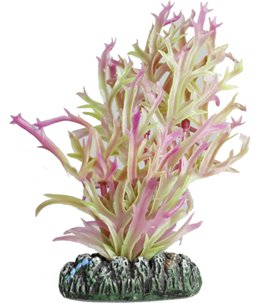 Aq. plant plastic guyana ass. - s