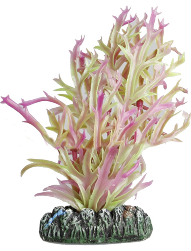 Aq. plant plastic guyana ass. - s