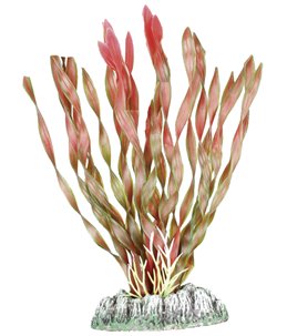 Aq. plant plastic guyana ass. - s