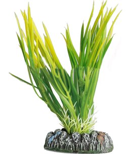 Aq. plant plastic guyana ass. - m