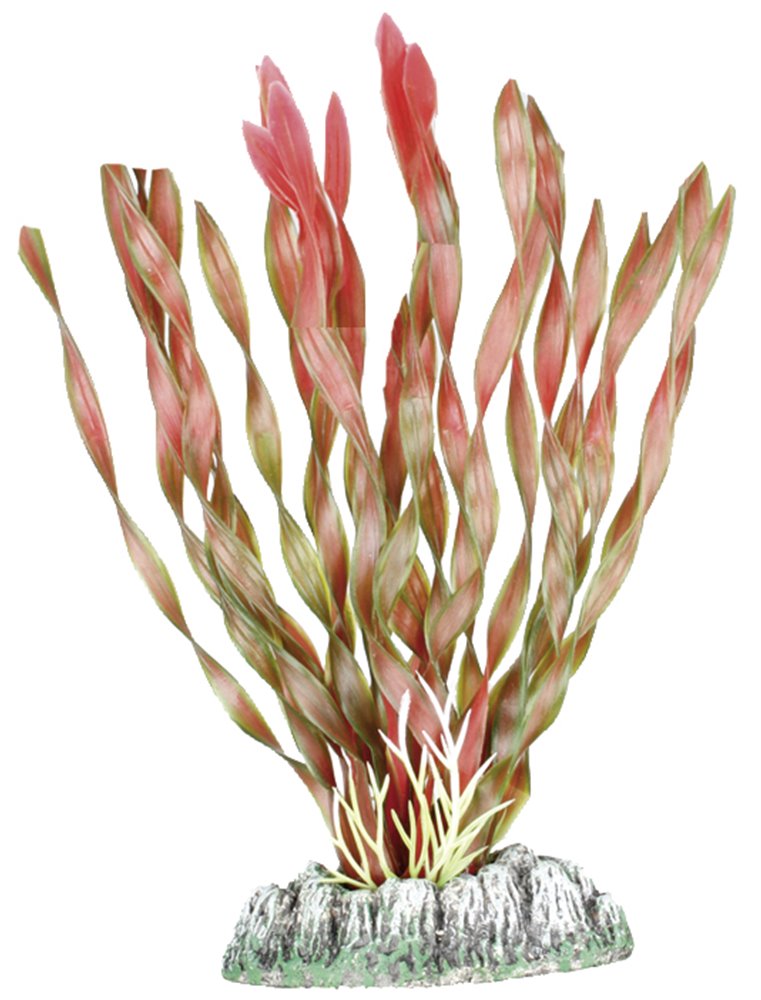 Aq. plant plastic guyana ass. - m