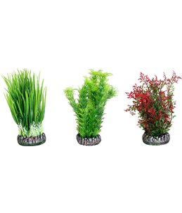 Aq. plant plastic sri lanka ass.- s