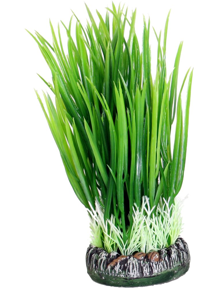 Aq. plant plastic sri lanka ass.- s