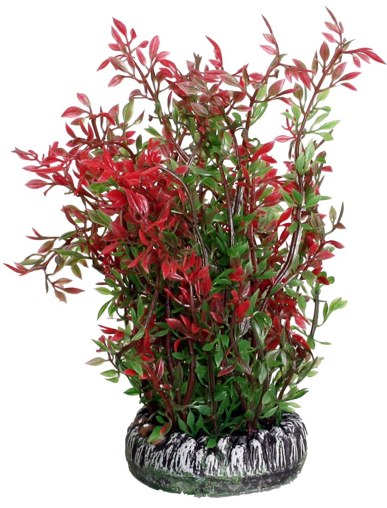 Aq. plant plastic sri lanka ass.- s