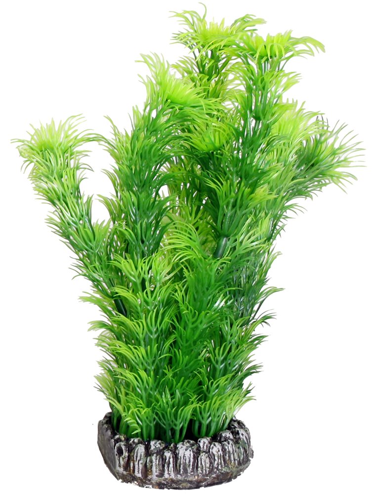 Aq. plant plastic sri lanka ass.- m