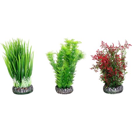 Aq. plant plastic sri lanka ass.- l 