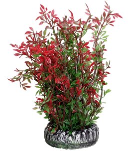 Aq. plant plastic sri lanka ass.- l