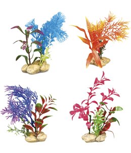Aq. plant plastic botanica ass. 