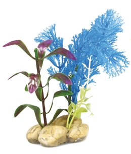 Aq. plant plastic botanica ass.