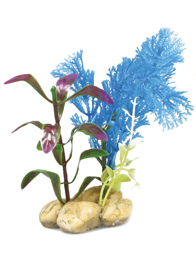 Aq. plant plastic botanica ass.
