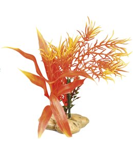 Aq. plant plastic botanica ass.