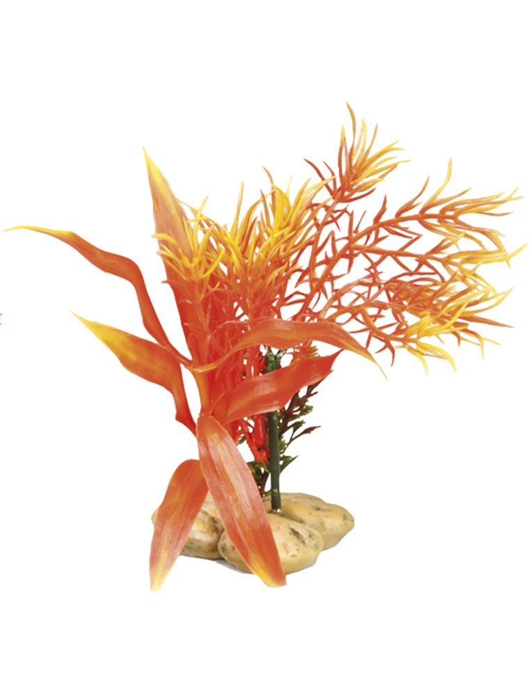 Aq. plant plastic botanica ass.