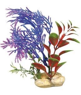 Aq. plant plastic botanica ass.