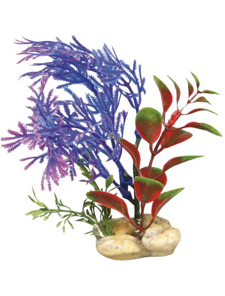 Aq. plant plastic botanica ass.
