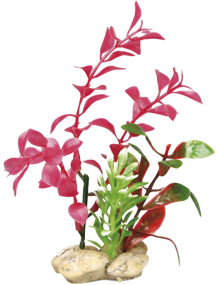 Aq. plant plastic botanica ass.