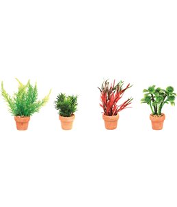 Aq. plant plastic terra cotta