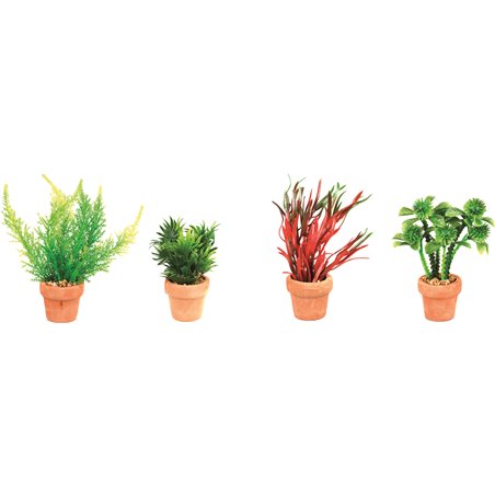 Aq. plant plastic terra cotta 