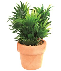 Aq. plant plastic terra cotta