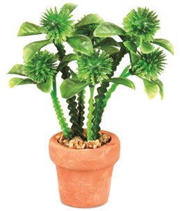 Aq. plant plastic terra cotta