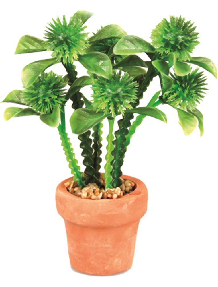 Aq. plant plastic terra cotta