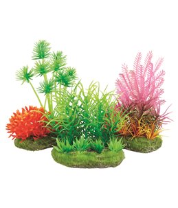 Aquariumplantjes 8cm-ass.floralia 