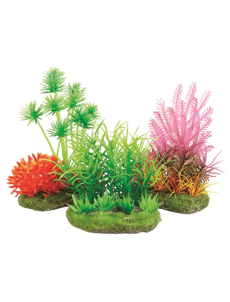 Aquariumplantjes 8cm-ass.floralia