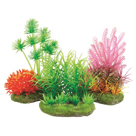 Aquariumplantjes 8cm-ass.floralia 