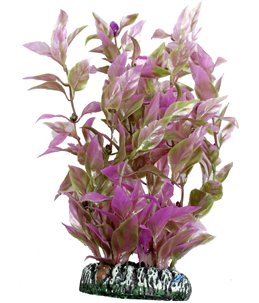 Aq. plant plastic cuba paars s 