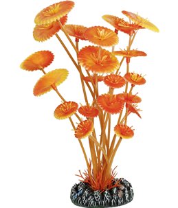 Aq. plant plastic cuba bruin s 