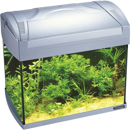 Aquariumset onega 20l 