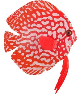 Decoratie fluo siervissen ass